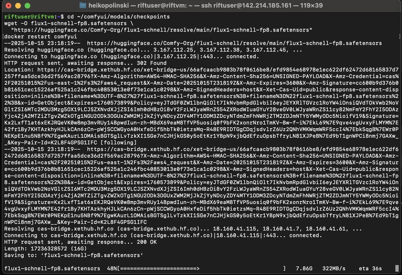 Loading the Flux Schnell checkpoint in ComfyUI