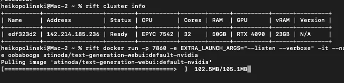 This is what you’ll see in the console as your Oogabooga image is being pulled. At the top, you can see the ‘rift cluster info’ command, that lists all the rented GPUs.