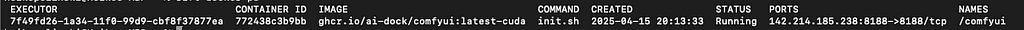 screenshot of a summary of our instance in the CLI. It displays the name of the image we pulled, the identifier and some othe information.