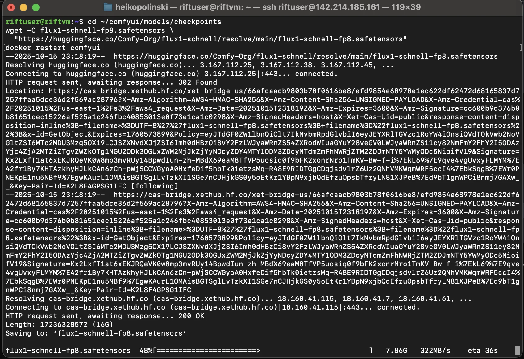 Loading the Flux Schnell checkpoint in ComfyUI